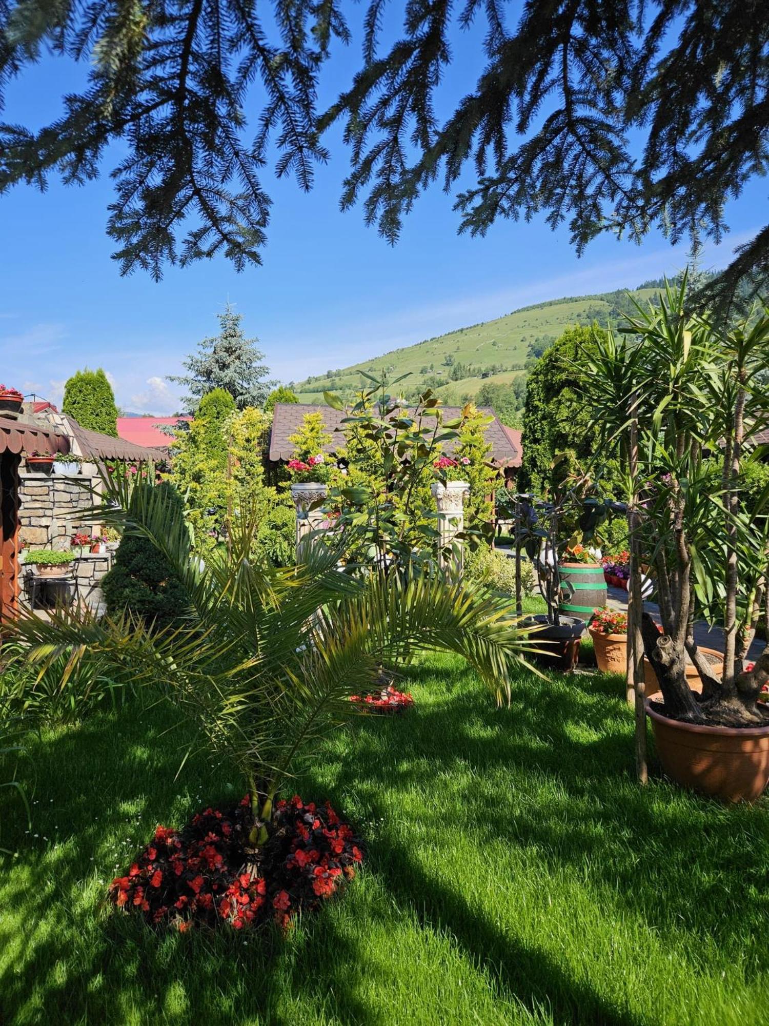 Pensiunea Orizont Farcasa Exterior foto
