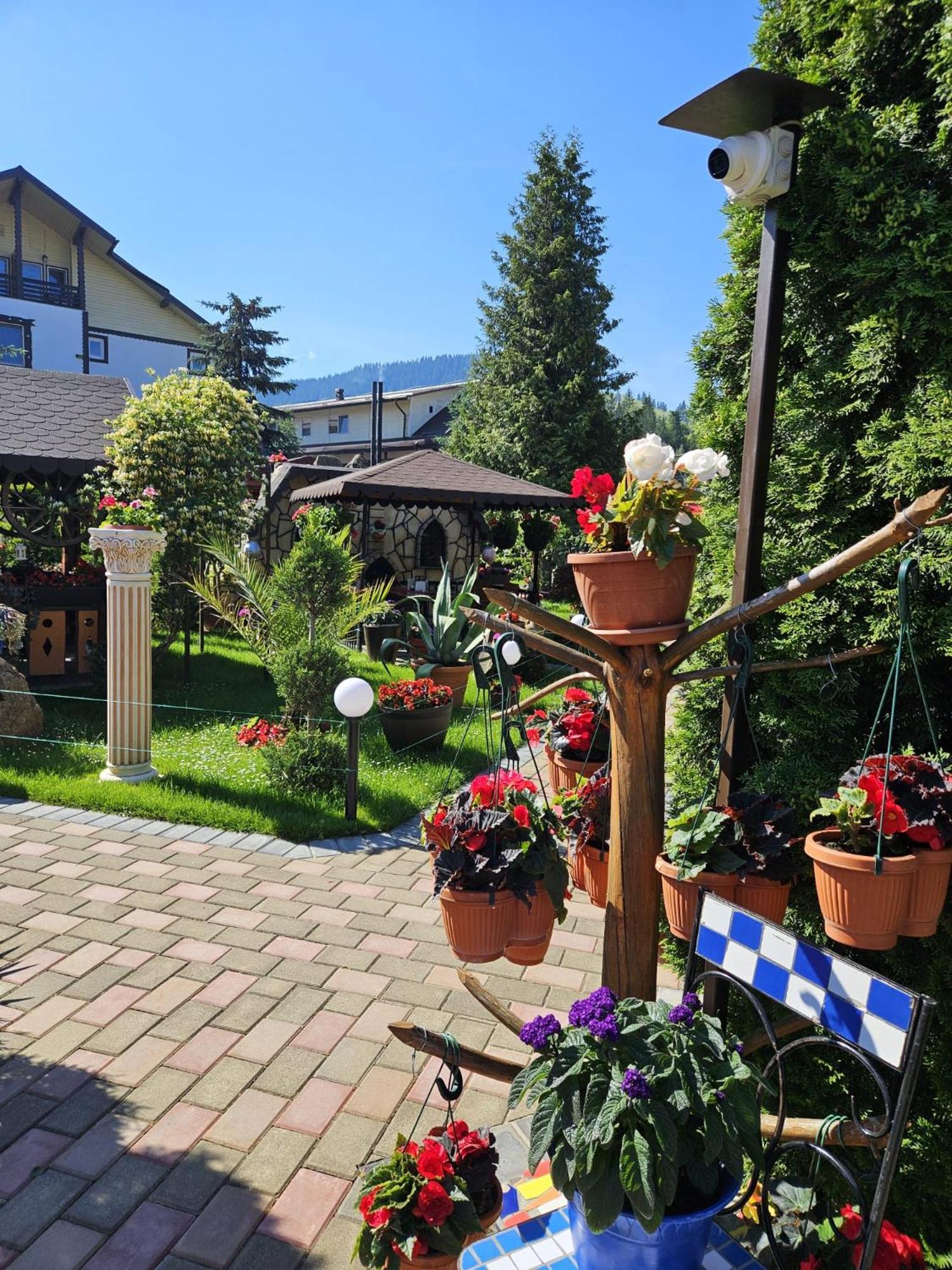 Pensiunea Orizont Farcasa Exterior foto