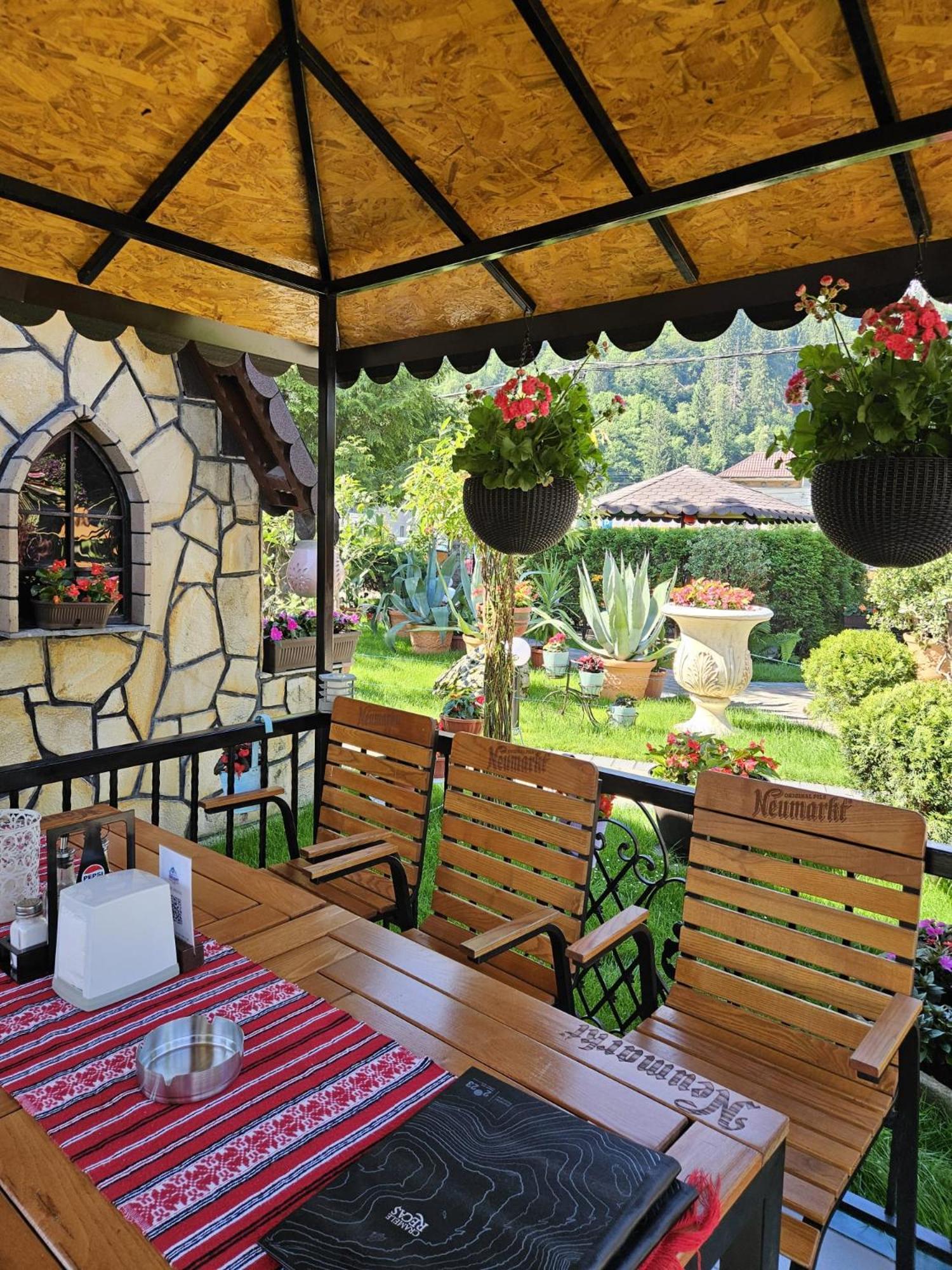 Pensiunea Orizont Farcasa Exterior foto