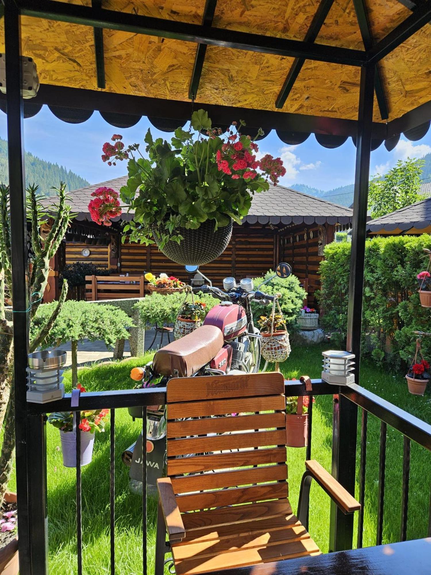 Pensiunea Orizont Farcasa Exterior foto
