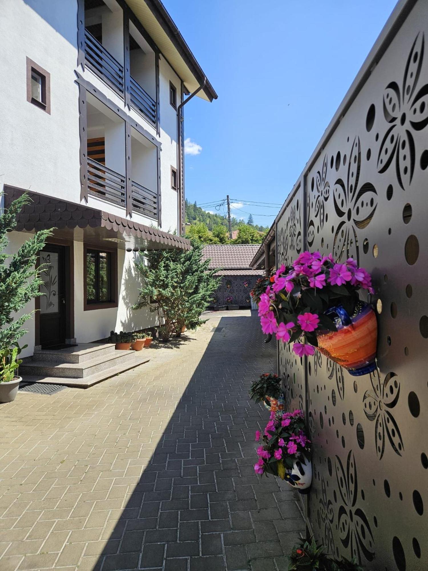 Pensiunea Orizont Farcasa Exterior foto